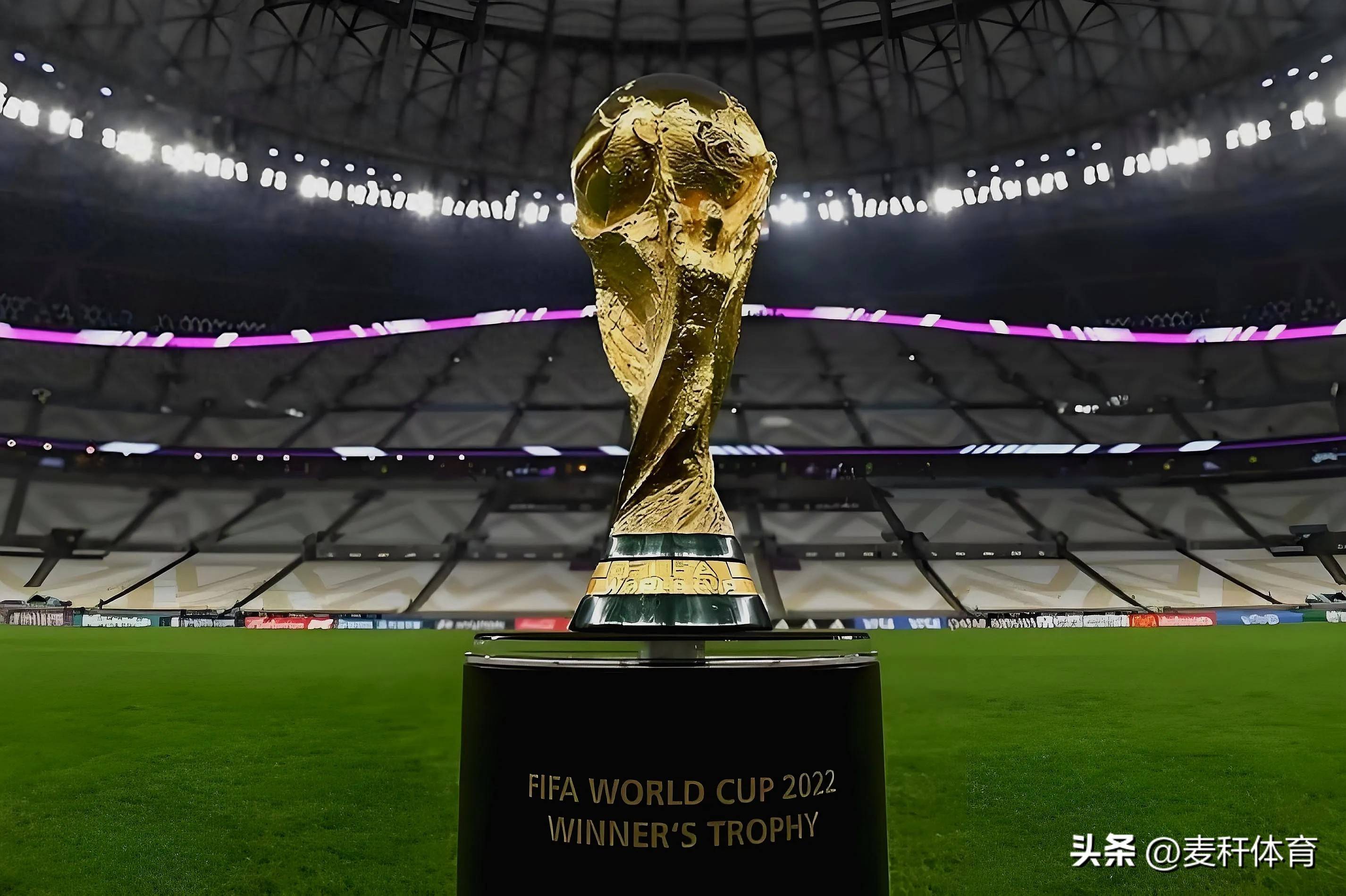 他的经历证 他的经历证