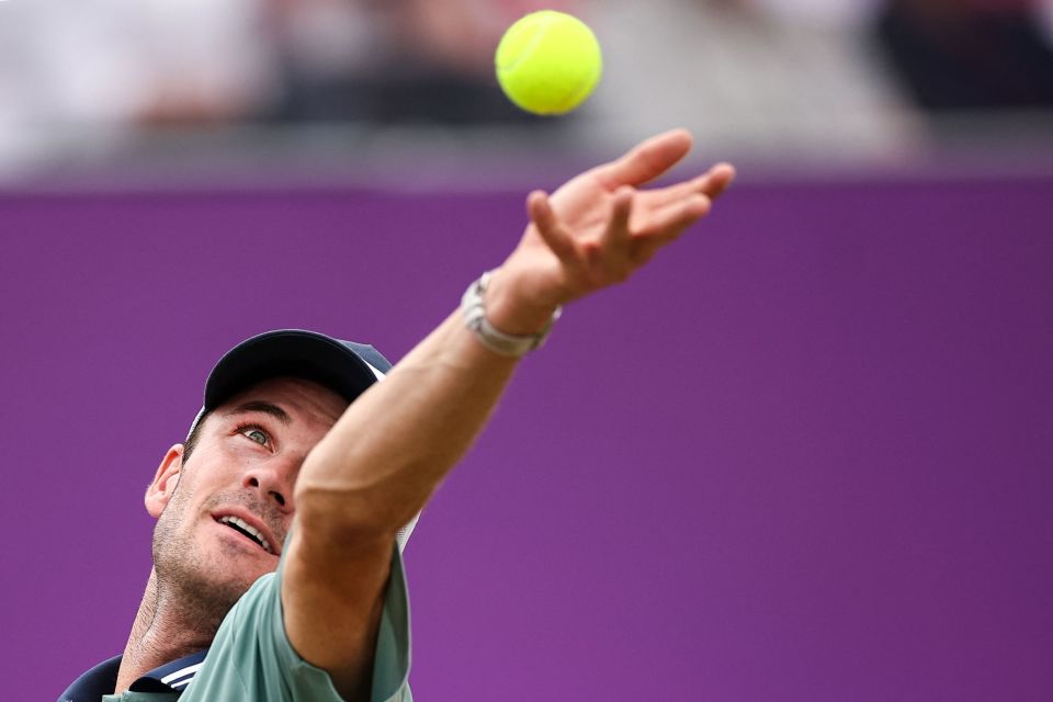 本文将揭开 本文将揭开